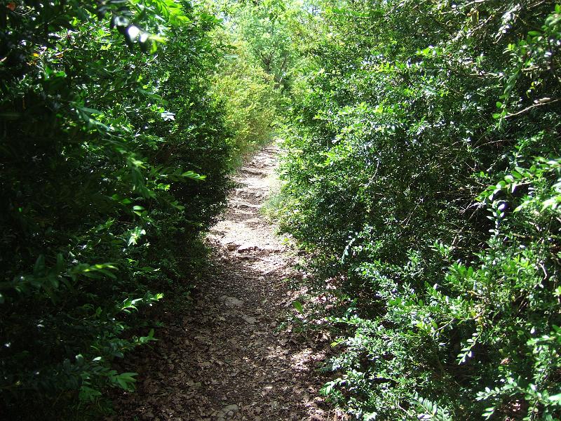 2010-05- (125).JPG - Es geht abwechslungsreich weiter - durch schattigem Wald ...
